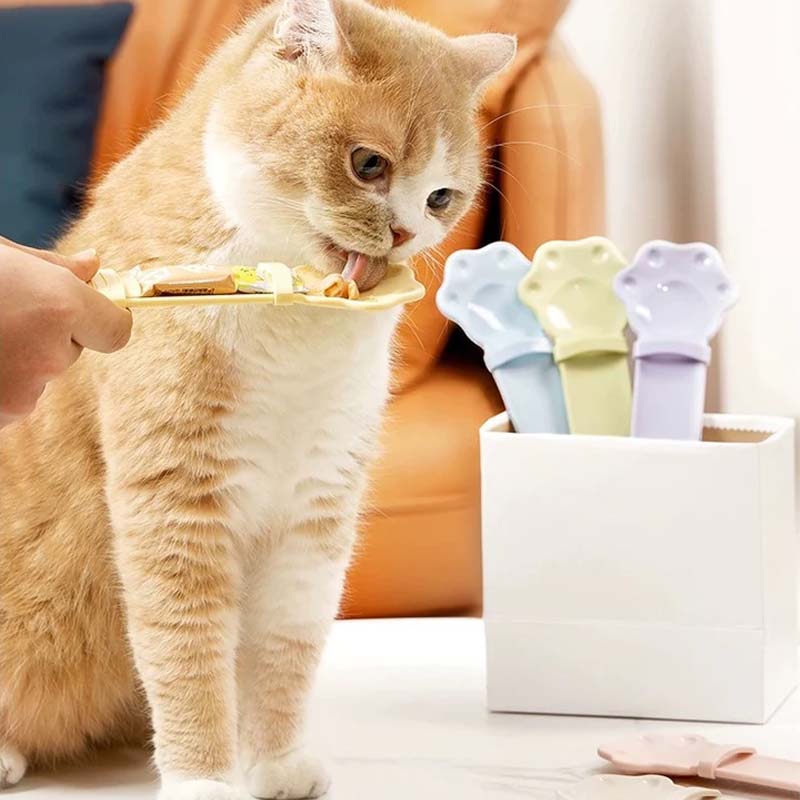 Futterautomat für Katzen